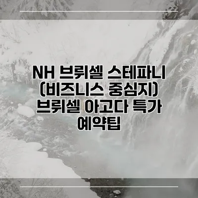 NH 브뤼셀 스테파니 (비즈니스 중심지) 브뤼셀 아고다 특가 예약팁