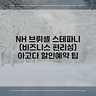 NH 브뤼셀 스테파니 (비즈니스 편리성) 아고다 할인예약 팁