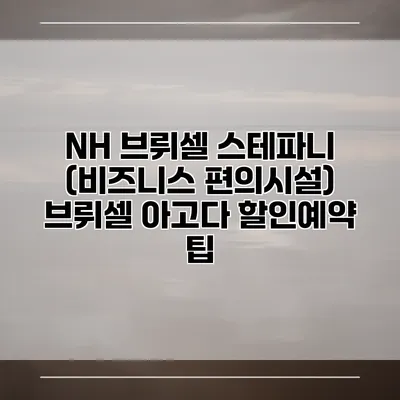 NH 브뤼셀 스테파니 (비즈니스 편의시설) 브뤼셀 아고다 할인예약 팁