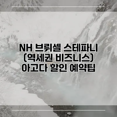 NH 브뤼셀 스테파니 (역세권 비즈니스) 아고다 할인 예약팁
