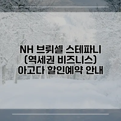 NH 브뤼셀 스테파니 (역세권 비즈니스) 아고다 할인예약 안내
