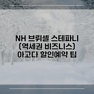 NH 브뤼셀 스테파니 (역세권 비즈니스) 아고다 할인예약 팁