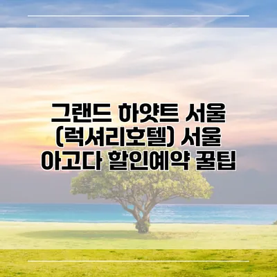 그랜드 하얏트 서울 (럭셔리호텔) 서울 아고다 할인예약 꿀팁