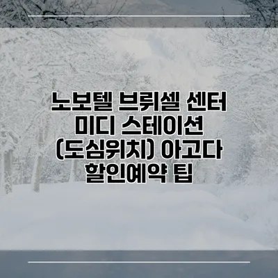 노보텔 브뤼셀 센터 미디 스테이션 (도심위치) 아고다 할인예약 팁