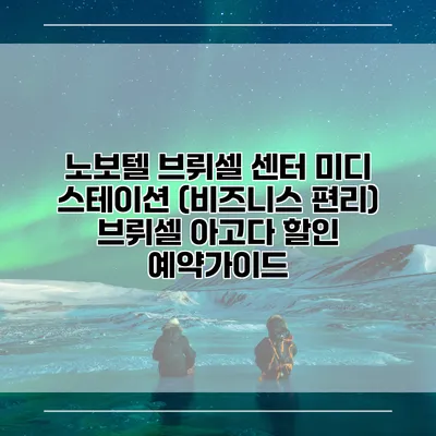 노보텔 브뤼셀 센터 미디 스테이션 (비즈니스 편리) 브뤼셀 아고다 할인 예약가이드