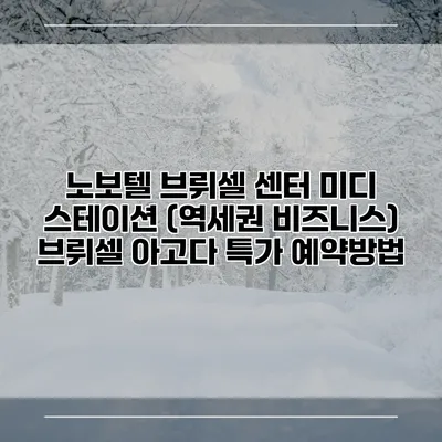 노보텔 브뤼셀 센터 미디 스테이션 (역세권 비즈니스) 브뤼셀 아고다 특가 예약방법