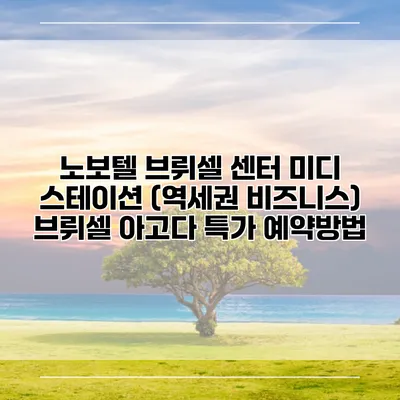 노보텔 브뤼셀 센터 미디 스테이션 (역세권 비즈니스) 브뤼셀 아고다 특가 예약방법