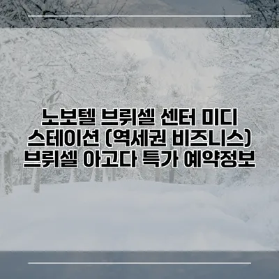 노보텔 브뤼셀 센터 미디 스테이션 (역세권 비즈니스) 브뤼셀 아고다 특가 예약정보