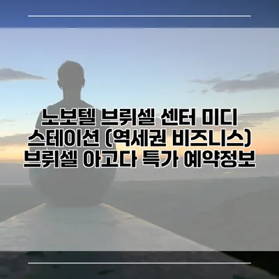 노보텔 브뤼셀 센터 미디 스테이션 (역세권 비즈니스) 브뤼셀 아고다 특가 예약정보