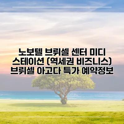 노보텔 브뤼셀 센터 미디 스테이션 (역세권 비즈니스) 브뤼셀 아고다 특가 예약정보