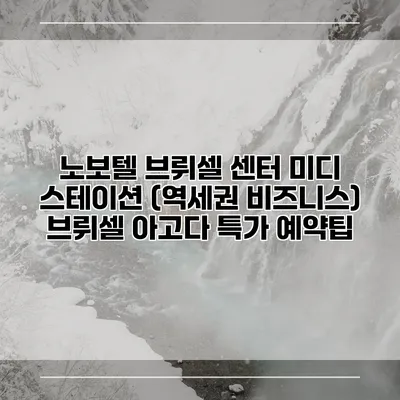 노보텔 브뤼셀 센터 미디 스테이션 (역세권 비즈니스) 브뤼셀 아고다 특가 예약팁