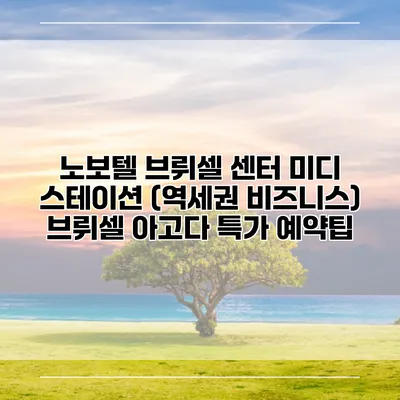 노보텔 브뤼셀 센터 미디 스테이션 (역세권 비즈니스) 브뤼셀 아고다 특가 예약팁