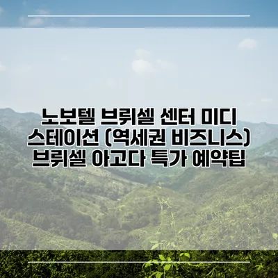노보텔 브뤼셀 센터 미디 스테이션 (역세권 비즈니스) 브뤼셀 아고다 특가 예약팁