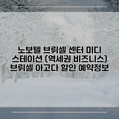 노보텔 브뤼셀 센터 미디 스테이션 (역세권 비즈니스) 브뤼셀 아고다 할인 예약정보