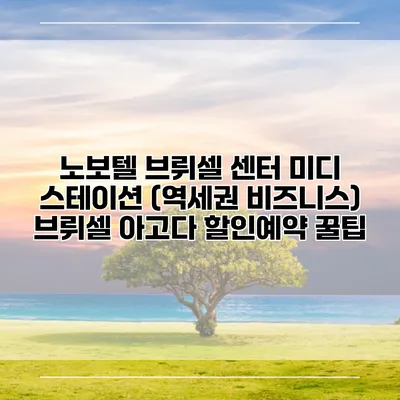 노보텔 브뤼셀 센터 미디 스테이션 (역세권 비즈니스) 브뤼셀 아고다 할인예약 꿀팁
