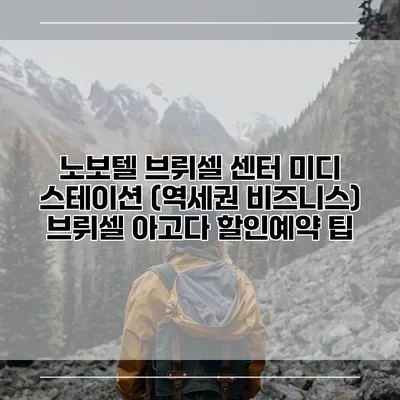 노보텔 브뤼셀 센터 미디 스테이션 (역세권 비즈니스) 브뤼셀 아고다 할인예약 팁