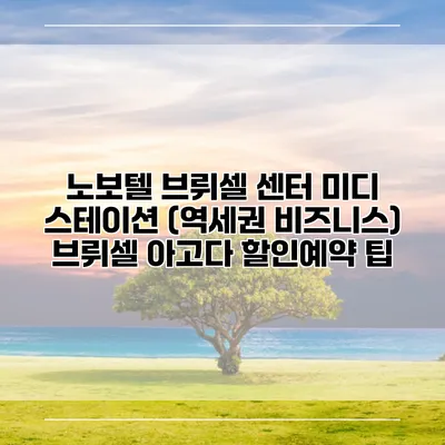 노보텔 브뤼셀 센터 미디 스테이션 (역세권 비즈니스) 브뤼셀 아고다 할인예약 팁