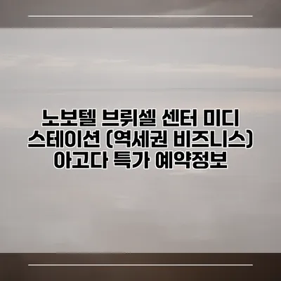 노보텔 브뤼셀 센터 미디 스테이션 (역세권 비즈니스) 아고다 특가 예약정보
