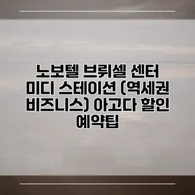노보텔 브뤼셀 센터 미디 스테이션 (역세권 비즈니스) 아고다 할인 예약팁
