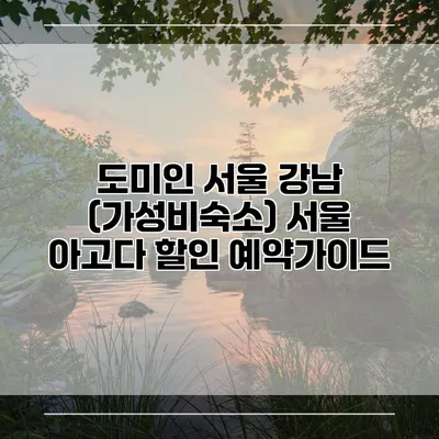 도미인 서울 강남 (가성비숙소) 서울 아고다 할인 예약가이드