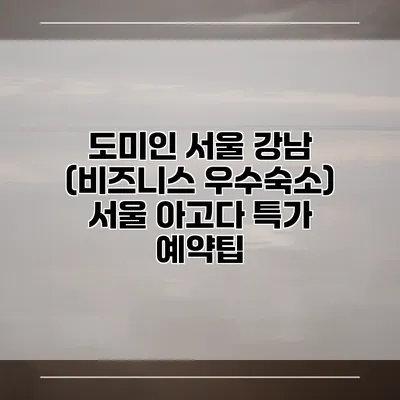 도미인 서울 강남 (비즈니스 우수숙소) 서울 아고다 특가 예약팁