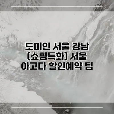 도미인 서울 강남 (쇼핑특화) 서울 아고다 할인예약 팁