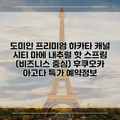 도미인 프리미엄 하카타 캐널 시티 마에 내추럴 핫 스프링 (비즈니스 중심) 후쿠오카 아고다 특가 예약정보