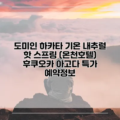 도미인 하카타 기온 내추럴 핫 스프링 (온천호텔) 후쿠오카 아고다 특가 예약정보