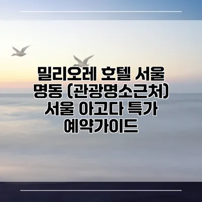 밀리오레 호텔 서울 명동 (관광명소근처) 서울 아고다 특가 예약가이드
