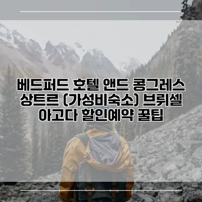 베드퍼드 호텔 앤드 콩그레스 상트르 (가성비숙소) 브뤼셀 아고다 할인예약 꿀팁