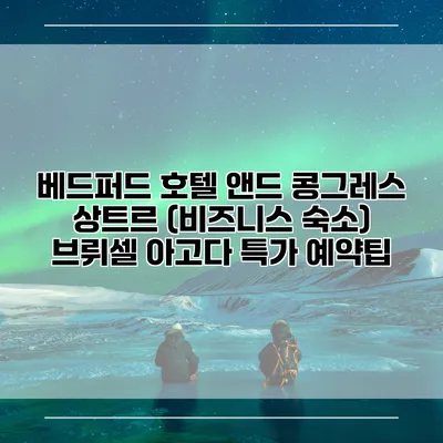 베드퍼드 호텔 앤드 콩그레스 상트르 (비즈니스 숙소) 브뤼셀 아고다 특가 예약팁