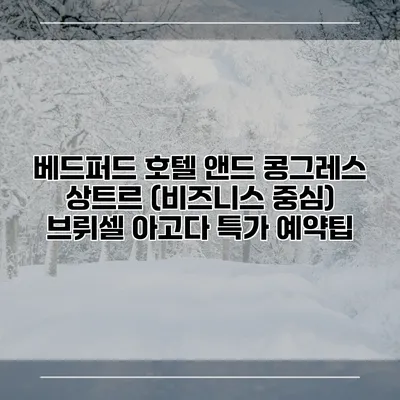 베드퍼드 호텔 앤드 콩그레스 상트르 (비즈니스 중심) 브뤼셀 아고다 특가 예약팁