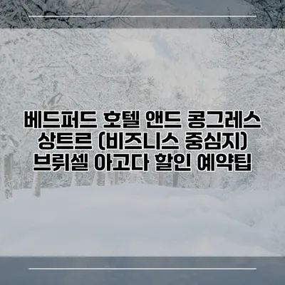 베드퍼드 호텔 앤드 콩그레스 상트르 (비즈니스 중심지) 브뤼셀 아고다 할인 예약팁