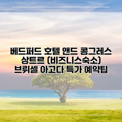 베드퍼드 호텔 앤드 콩그레스 상트르 (비즈니스숙소) 브뤼셀 아고다 특가 예약팁