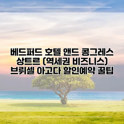 베드퍼드 호텔 앤드 콩그레스 상트르 (역세권 비즈니스) 브뤼셀 아고다 할인예약 꿀팁