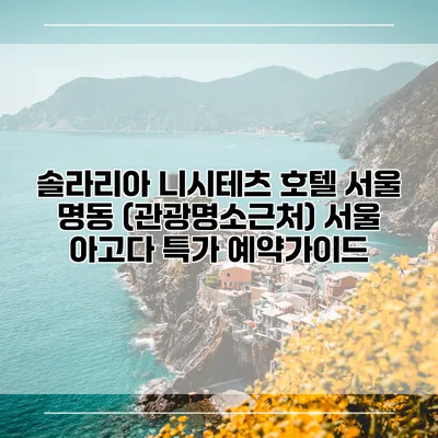 솔라리아 니시테츠 호텔 서울 명동 (관광명소근처) 서울 아고다 특가 예약가이드