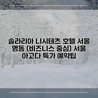 솔라리아 니시테츠 호텔 서울 명동 (비즈니스 중심) 서울 아고다 특가 예약팁