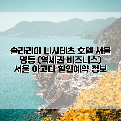 솔라리아 니시테츠 호텔 서울 명동 (역세권 비즈니스) 서울 아고다 할인예약 정보