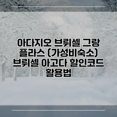 아다지오 브뤼셀 그랑 플라스 (가성비숙소) 브뤼셀 아고다 할인코드 활용법