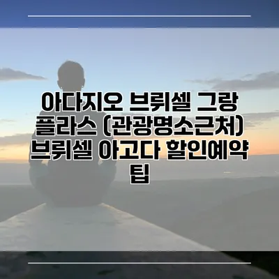 아다지오 브뤼셀 그랑 플라스 (관광명소근처) 브뤼셀 아고다 할인예약 팁
