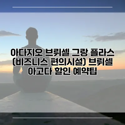 아다지오 브뤼셀 그랑 플라스 (비즈니스 편의시설) 브뤼셀 아고다 할인 예약팁