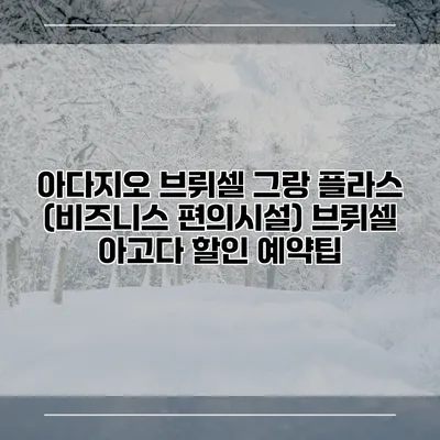 아다지오 브뤼셀 그랑 플라스 (비즈니스 편의시설) 브뤼셀 아고다 할인 예약팁