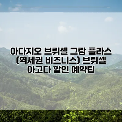 아다지오 브뤼셀 그랑 플라스 (역세권 비즈니스) 브뤼셀 아고다 할인 예약팁