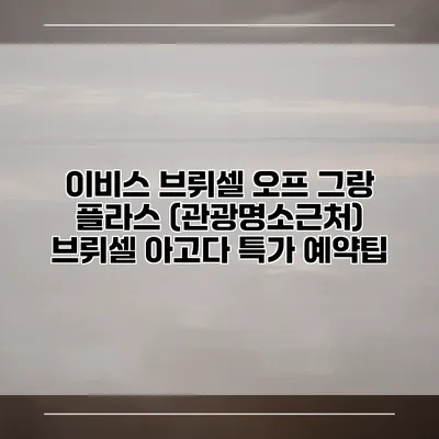 이비스 브뤼셀 오프 그랑 플라스 (관광명소근처) 브뤼셀 아고다 특가 예약팁