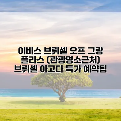 이비스 브뤼셀 오프 그랑 플라스 (관광명소근처) 브뤼셀 아고다 특가 예약팁
