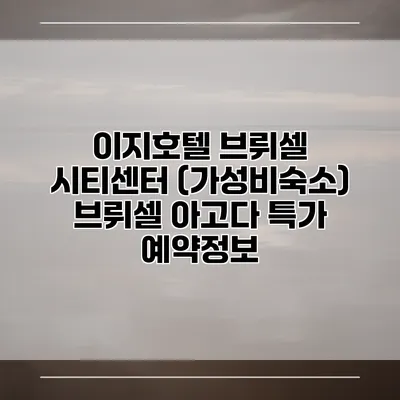 이지호텔 브뤼셀 시티센터 (가성비숙소) 브뤼셀 아고다 특가 예약정보