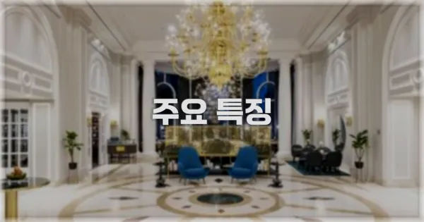 ✨ 주요 특징