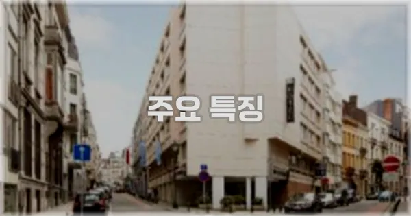 ✨ 주요 특징