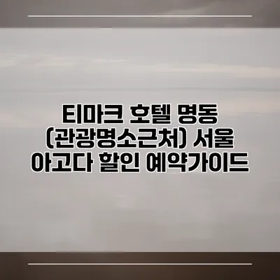 티마크 호텔 명동 (관광명소근처) 서울 아고다 할인 예약가이드