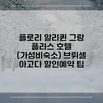 플로리 알리퀸 그랑 플라스 호텔 (가성비숙소) 브뤼셀 아고다 할인예약 팁